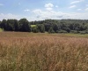111 Briar Ridge Lane, Ellamore, West Virginia 26267, 0 , 0 ,0,Lots/land,For Sale,Briar Ridge,0,10160979