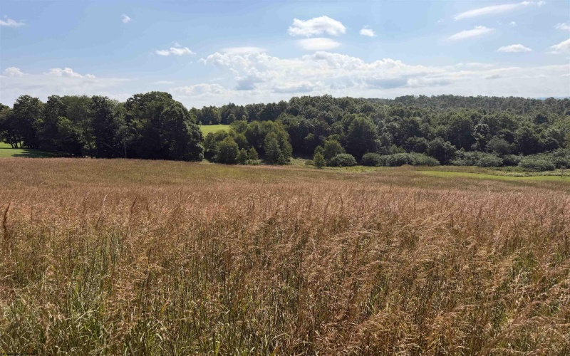 111 Briar Ridge Lane, Ellamore, West Virginia 26267, 0 , 0 ,0,Lots/land,For Sale,Briar Ridge,0,10160979