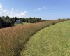 111 Briar Ridge Lane, Ellamore, West Virginia 26267, 0 , 0 ,0,Lots/land,For Sale,Briar Ridge,0,10160979