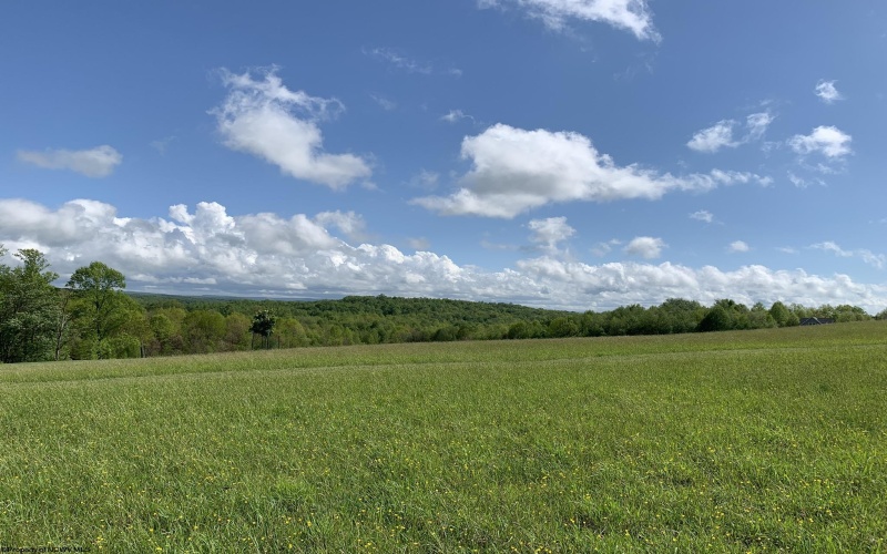 111 Briar Ridge Lane, Ellamore, West Virginia 26267, ,Lots/land,For Sale,Briar Ridge,10160979