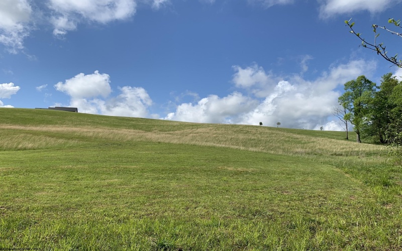 111 Briar Ridge Lane, Ellamore, West Virginia 26267, ,Lots/land,For Sale,Briar Ridge,10160979
