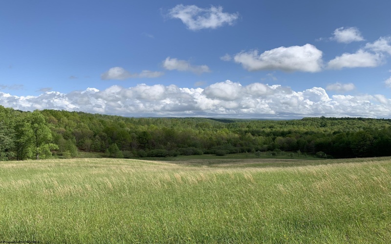 111 Briar Ridge Lane, Ellamore, West Virginia 26267, ,Lots/land,For Sale,Briar Ridge,10160979