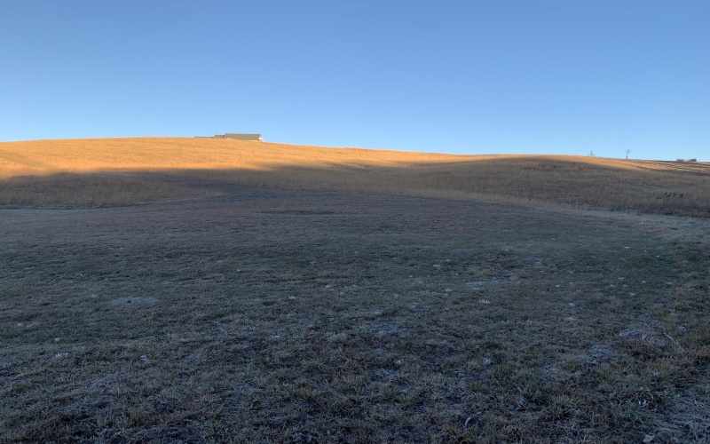 111 Briar Ridge Lane, Ellamore, West Virginia 26267, ,Lots/land,For Sale,Briar Ridge,10160979