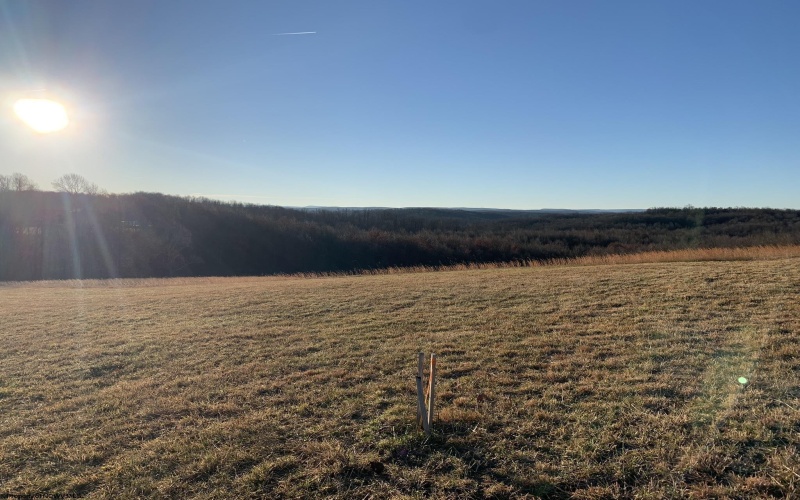 111 Briar Ridge Lane, Ellamore, West Virginia 26267, ,Lots/land,For Sale,Briar Ridge,10160979