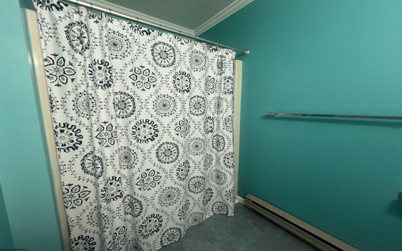 56 Baneberry Lane, Terra Alta, West Virginia 26764-0000, 3 Bedrooms Bedrooms, 7 Rooms Rooms,2 BathroomsBathrooms,Single Family Attached,For Sale,Baneberry,10163897