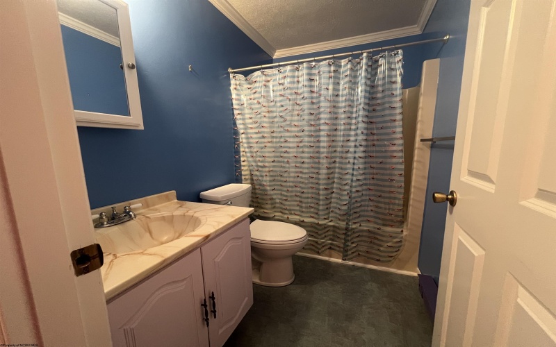 56 Baneberry Lane, Terra Alta, West Virginia 26764-0000, 3 Bedrooms Bedrooms, 7 Rooms Rooms,2 BathroomsBathrooms,Single Family Attached,For Sale,Baneberry,10163897