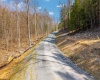 LOT 153 Riverstone Landing, Bruceton Mills, West Virginia 26525, ,Lots/land,For Sale,Riverstone,10163901
