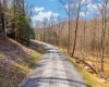 LOT 153 Riverstone Landing, Bruceton Mills, West Virginia 26525, ,Lots/land,For Sale,Riverstone,10163901