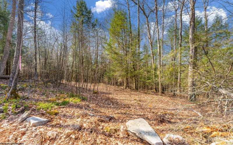 LOT 153 Riverstone Landing, Bruceton Mills, West Virginia 26525, ,Lots/land,For Sale,Riverstone,10163901