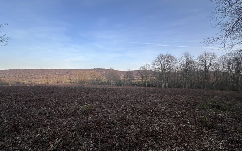 1157 Lakeford Road, Terra Alta, West Virginia 26764, 3 Bedrooms Bedrooms, 7 Rooms Rooms,2 BathroomsBathrooms,Single Family Detached,For Sale,Lakeford,10163892