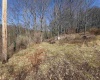 145 Yellow House Lane, Elkins, West Virginia 26241, ,Lots/land,For Sale,Yellow House,10163915