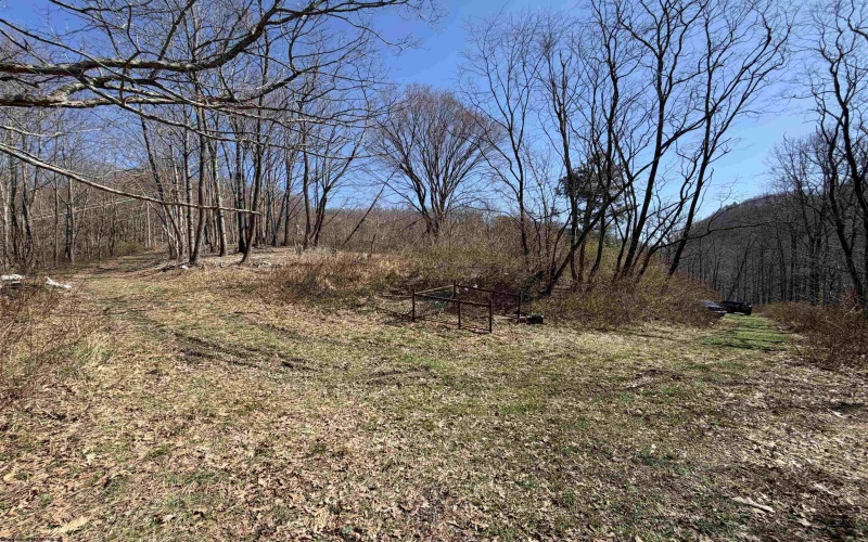 145 Yellow House Lane, Elkins, West Virginia 26241, ,Lots/land,For Sale,Yellow House,10163915