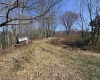 145 Yellow House Lane, Elkins, West Virginia 26241, ,Lots/land,For Sale,Yellow House,10163915