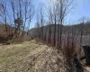 145 Yellow House Lane, Elkins, West Virginia 26241, ,Lots/land,For Sale,Yellow House,10163915