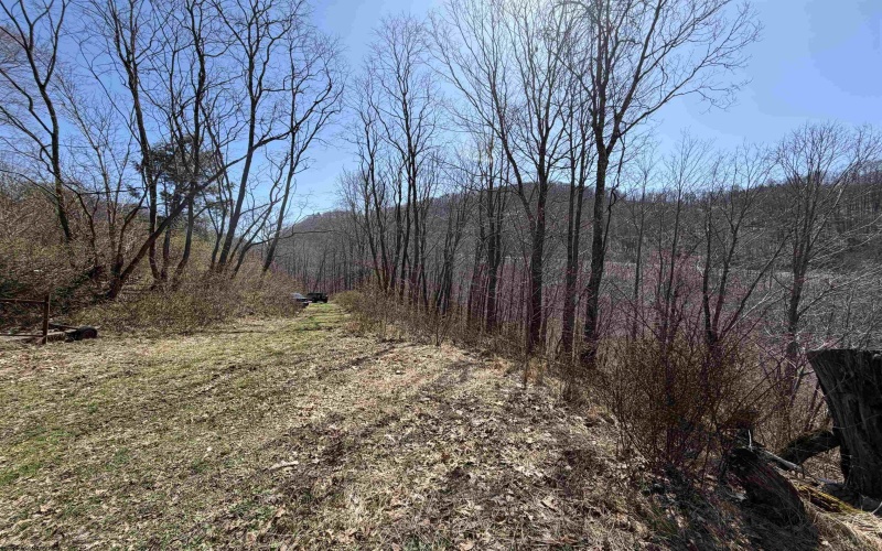 145 Yellow House Lane, Elkins, West Virginia 26241, ,Lots/land,For Sale,Yellow House,10163915