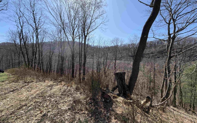 145 Yellow House Lane, Elkins, West Virginia 26241, ,Lots/land,For Sale,Yellow House,10163915