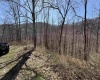 145 Yellow House Lane, Elkins, West Virginia 26241, ,Lots/land,For Sale,Yellow House,10163915