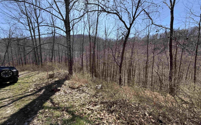 145 Yellow House Lane, Elkins, West Virginia 26241, ,Lots/land,For Sale,Yellow House,10163915