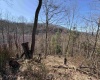 145 Yellow House Lane, Elkins, West Virginia 26241, ,Lots/land,For Sale,Yellow House,10163915