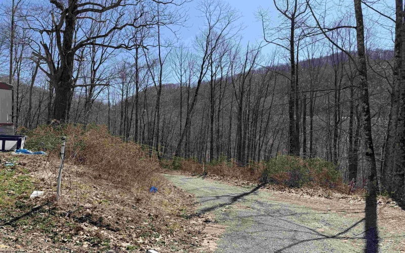 145 Yellow House Lane, Elkins, West Virginia 26241, ,Lots/land,For Sale,Yellow House,10163915