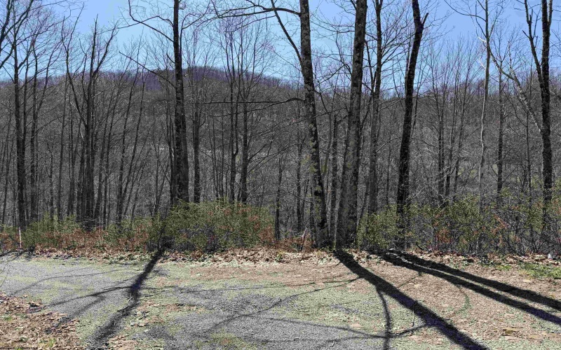 145 Yellow House Lane, Elkins, West Virginia 26241, ,Lots/land,For Sale,Yellow House,10163915