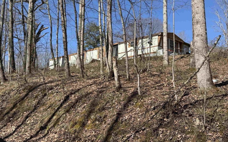 145 Yellow House Lane, Elkins, West Virginia 26241, ,Lots/land,For Sale,Yellow House,10163915