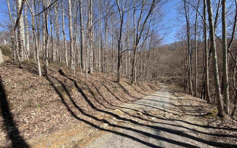 145 Yellow House Lane, Elkins, West Virginia 26241, ,Lots/land,For Sale,Yellow House,10163915