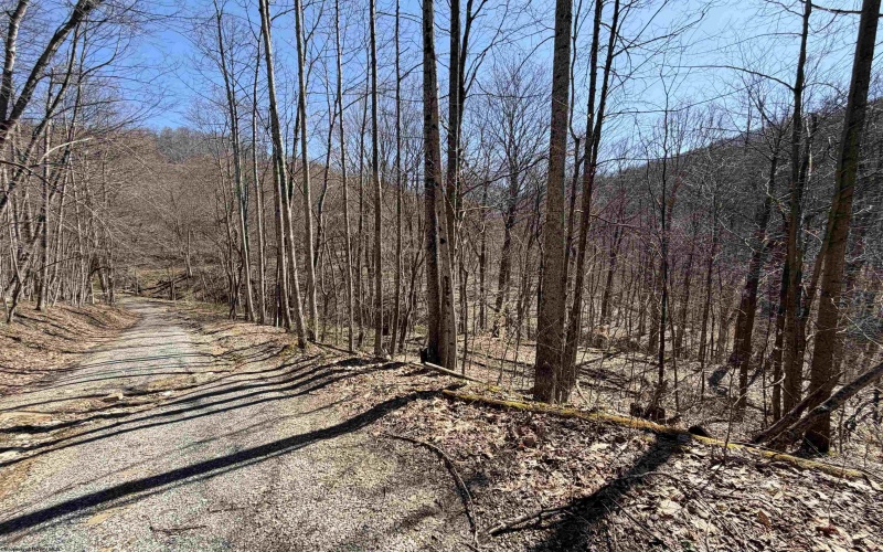 145 Yellow House Lane, Elkins, West Virginia 26241, ,Lots/land,For Sale,Yellow House,10163915