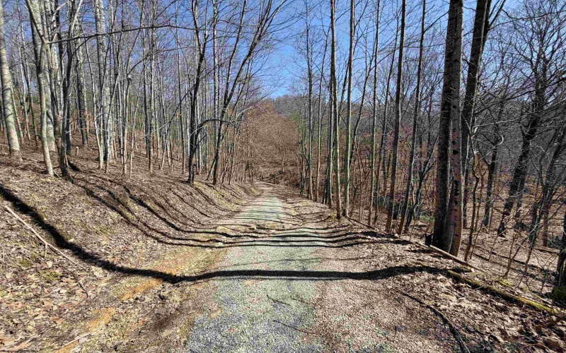 145 Yellow House Lane, Elkins, West Virginia 26241, ,Lots/land,For Sale,Yellow House,10163915