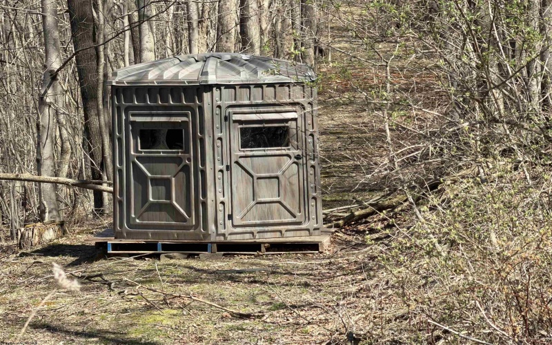 145 Yellow House Lane, Elkins, West Virginia 26241, ,Lots/land,For Sale,Yellow House,10163915