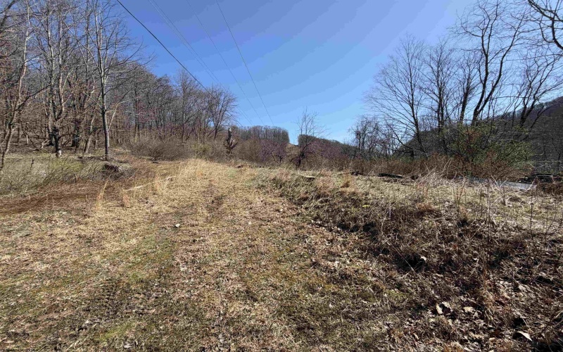 145 Yellow House Lane, Elkins, West Virginia 26241, ,Lots/land,For Sale,Yellow House,10163915