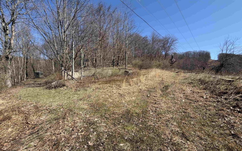 145 Yellow House Lane, Elkins, West Virginia 26241, ,Lots/land,For Sale,Yellow House,10163915