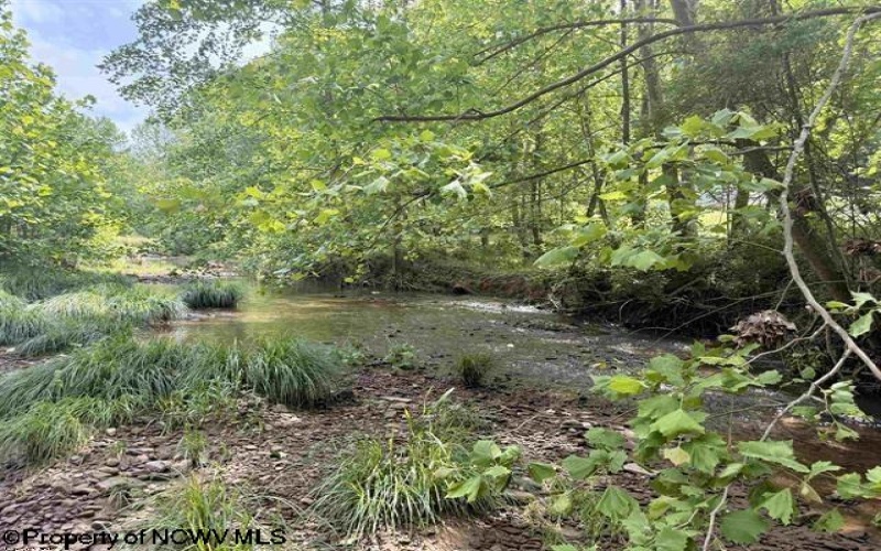 8557 Copley Road, Weston, West Virginia 26452, ,Lots/land,For Sale,Copley,10163908