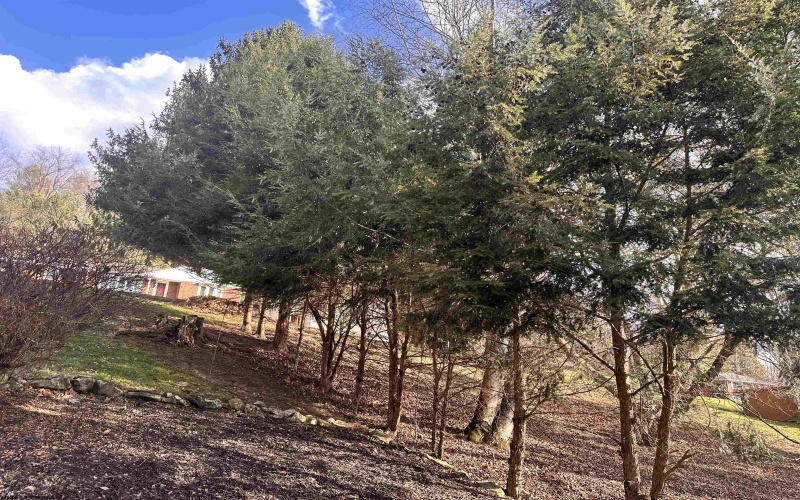 159 Kramer Drive, Clarksburg, West Virginia 26301, 3 Bedrooms Bedrooms, 5 Rooms Rooms,1 BathroomBathrooms,Single Family Detached,For Sale,Kramer,10163920