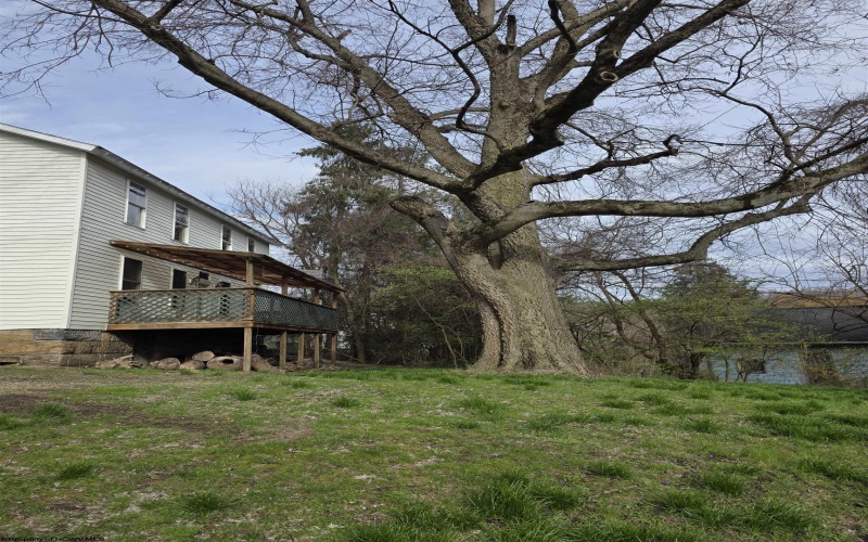 1326 Montrose Avenue, Morgantown, West Virginia 26505, 4 Bedrooms Bedrooms, 6 Rooms Rooms,3 BathroomsBathrooms,Single Family Detached,For Sale,Montrose,10163928