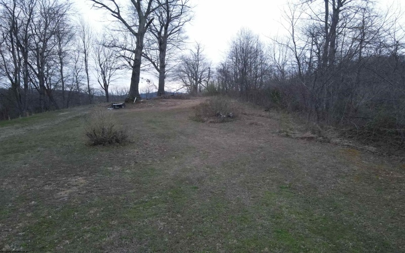 TBD Mid Avenue, Weston, West Virginia 26452, ,Lots/land,For Sale,Mid,10163925