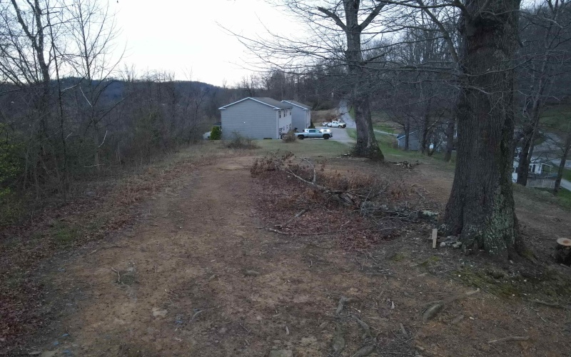 TBD Mid Avenue, Weston, West Virginia 26452, ,Lots/land,For Sale,Mid,10163925