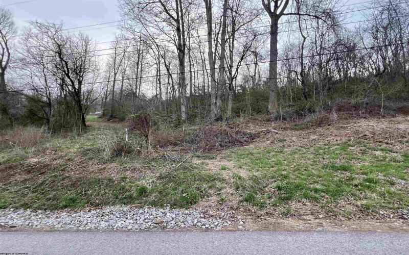 TBD Mid Avenue, Weston, West Virginia 26452, ,Lots/land,For Sale,Mid,10163925