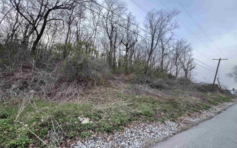 TBD Mid Avenue, Weston, West Virginia 26452, ,Lots/land,For Sale,Mid,10163925