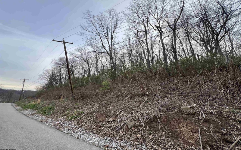 TBD Mid Avenue, Weston, West Virginia 26452, ,Lots/land,For Sale,Mid,10163925