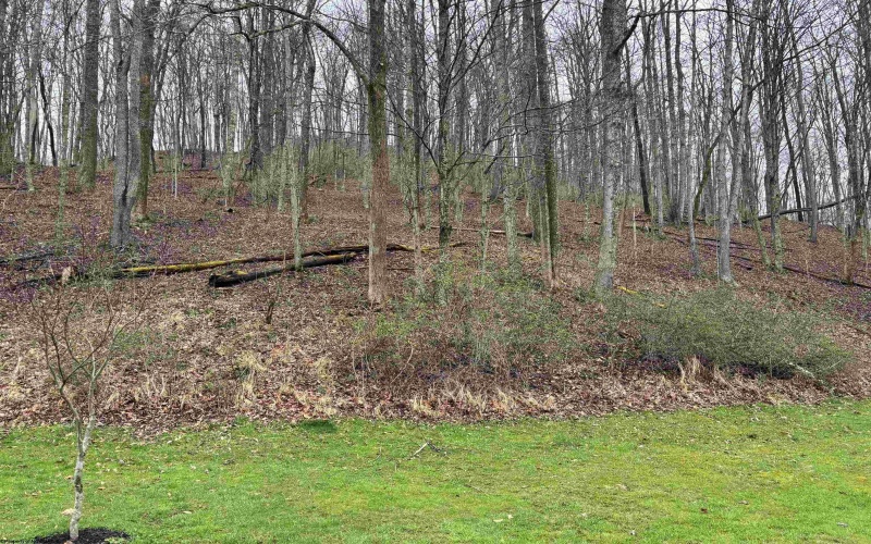 1058 Bean Hollow, West Union, West Virginia 26456, 4 Bedrooms Bedrooms, 9 Rooms Rooms,3 BathroomsBathrooms,Single Family Detached,For Sale,Bean,10163932 1058 Bean Hollow, West Union, West Virginia 26456, 4 Bedrooms Bedrooms, 9 Rooms Rooms,3 BathroomsBathrooms,Single Family Detached,For Sale,Bean,10163932