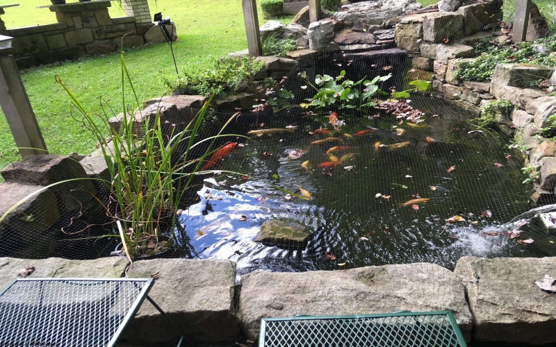 422 Carol Street, Buckhannon, West Virginia 26201, 4 Bedrooms Bedrooms, 11 Rooms Rooms,3 BathroomsBathrooms,Single Family Detached,For Sale,Carol,10163945