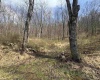 Lot 4 Jesse's Run Road, Fairview, West Virginia 26570, ,Lots/land,For Sale,Jesse's Run,10163968