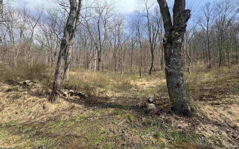 Lot 4 Jesse's Run Road, Fairview, West Virginia 26570, ,Lots/land,For Sale,Jesse's Run,10163968