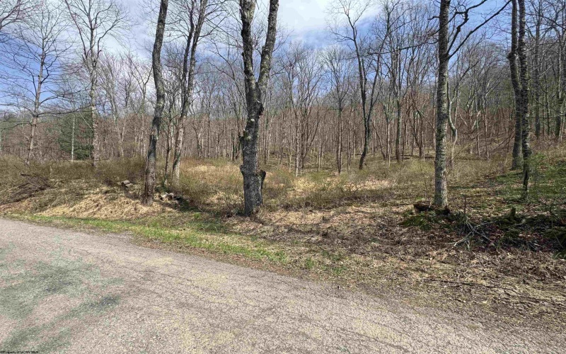 Lot 4 Jesse's Run Road, Fairview, West Virginia 26570, ,Lots/land,For Sale,Jesse's Run,10163968