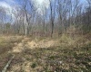 Lot 4 Jesse's Run Road, Fairview, West Virginia 26570, ,Lots/land,For Sale,Jesse's Run,10163968