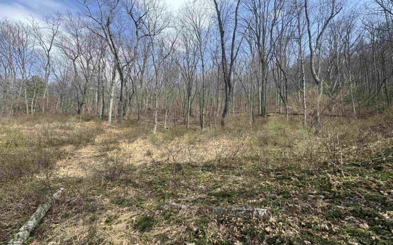 Lot 4 Jesse's Run Road, Fairview, West Virginia 26570, ,Lots/land,For Sale,Jesse's Run,10163968