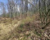 Lot 4 Jesse's Run Road, Fairview, West Virginia 26570, ,Lots/land,For Sale,Jesse's Run,10163968