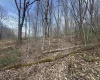 Lot 4 Jesse's Run Road, Fairview, West Virginia 26570, ,Lots/land,For Sale,Jesse's Run,10163968