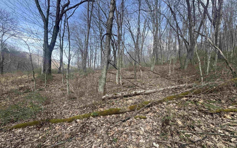 Lot 4 Jesse's Run Road, Fairview, West Virginia 26570, ,Lots/land,For Sale,Jesse's Run,10163968